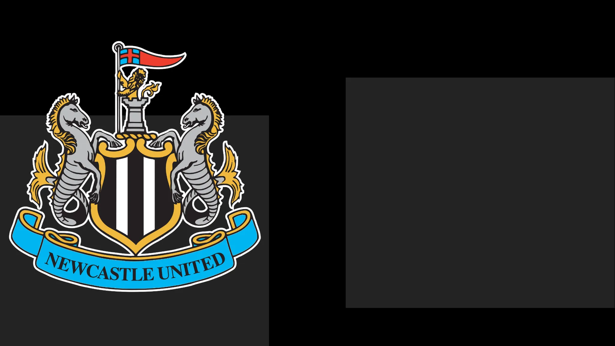 Newcastle Issue Apology to Supporters Following Season Ticket Controversy