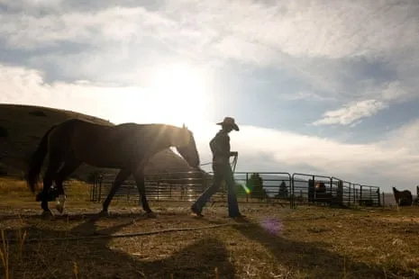 Discover the US Cowgirls Reshaping Modern Ranching