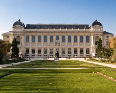 Priceless Gold Specimens Taken in Daring Raid at France's Natural History Institution